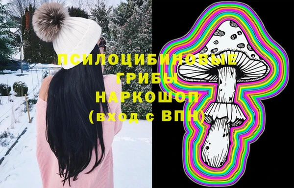 сатива Алексеевка