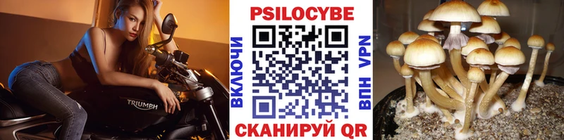 купить  сайты  блэк спрут рабочий сайт  Галлюциногенные грибы MAGIC MUSHROOMS  Нижний Тагил 